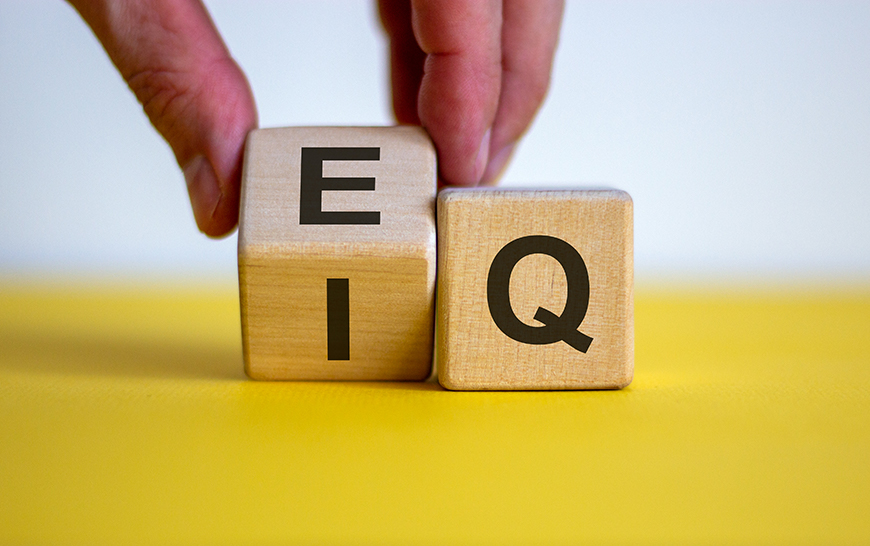 Building blocks showing the letters E, Q and I