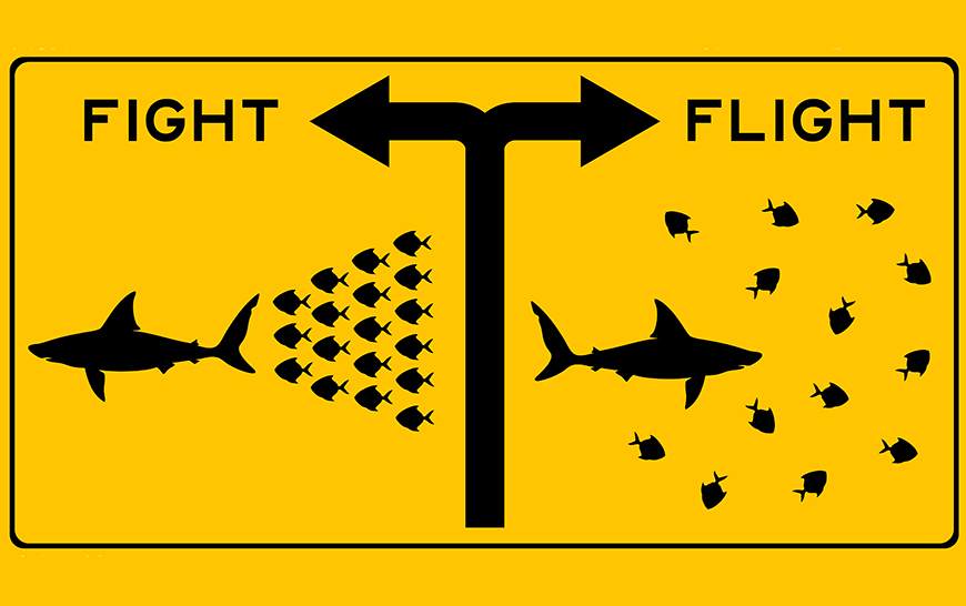 Cartoon showing fish chasing shark (fight) and fish running away from shark (flight)