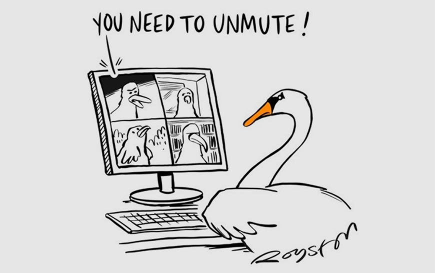 Cartoon showing a swan on a Zoom call being told to unmute